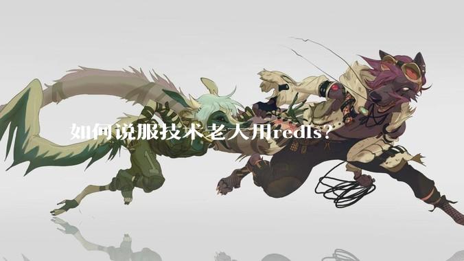 如何说服技术老大用redis？