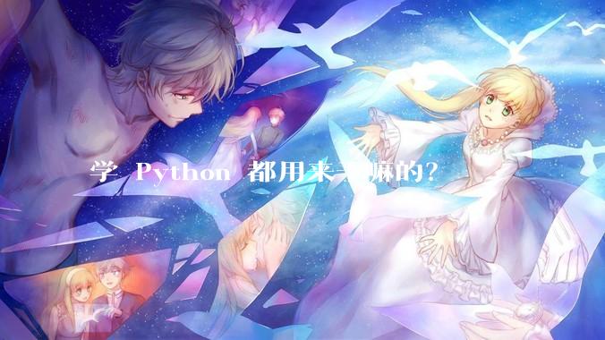 学 Python 都用来干嘛的？