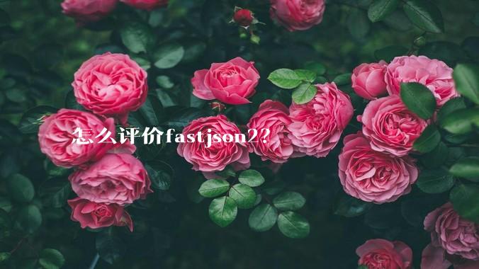 怎么评价fastjson2？