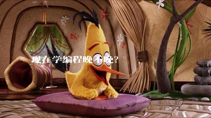 现在学编程晚不晚？