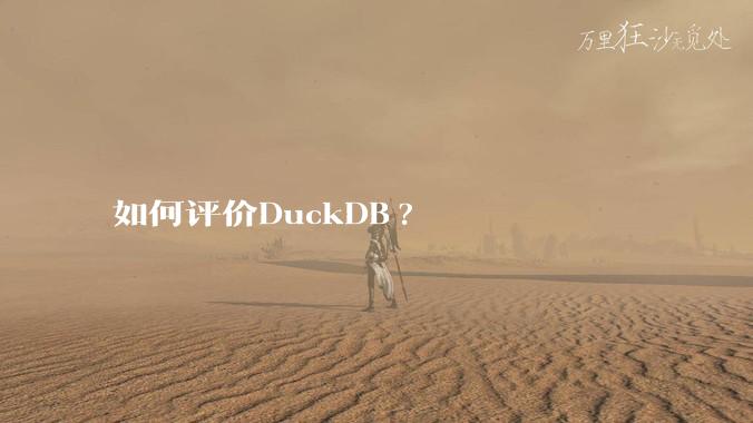 如何评价DuckDB?