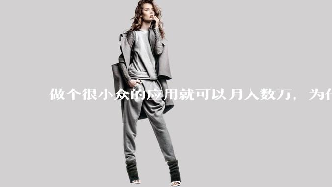 做个很小众的应用就可以月入数万，为什么多数程序员都不做个人开发？