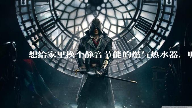 想给家里换个静音节能的燃气热水器，哪个品牌比较好？