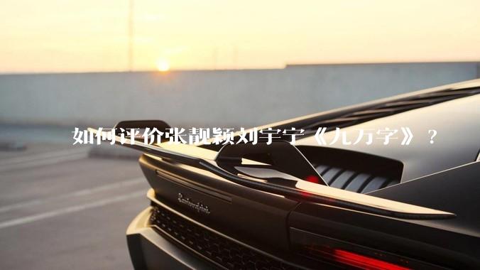 如何评价张靓颖刘宇宁《九万字》?