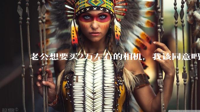 老公想要买2万左右的相机，我该同意吗？
