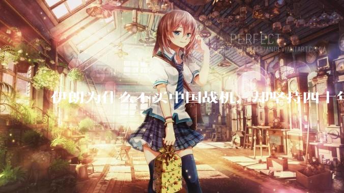 伊朗为什么不买中国战机，却坚持四十年用老旧的苏联米格29、美国F14雄猫战斗机?